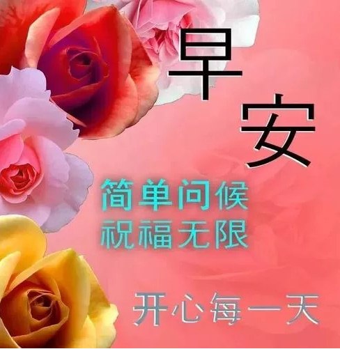 朋友圈2020早上好暖心祝福问候语句