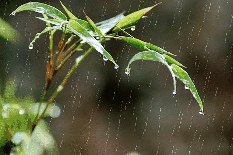 春节下雨发朋友圈的说说句子