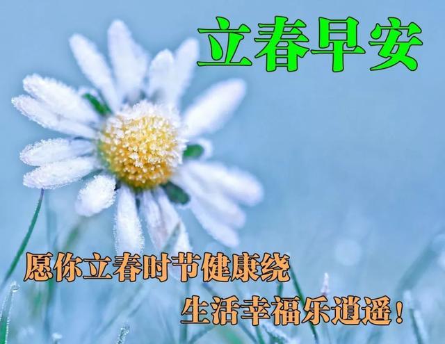 很赞立春早安图片带字带祝福语