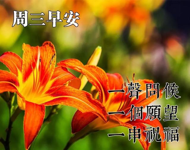 周三漂亮早安祝福图片最新版带字