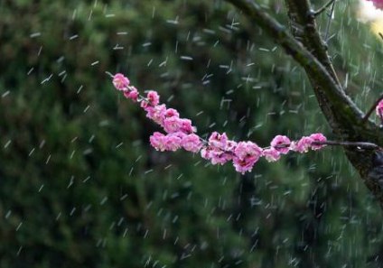 二十四节气雨水古诗词摘抄