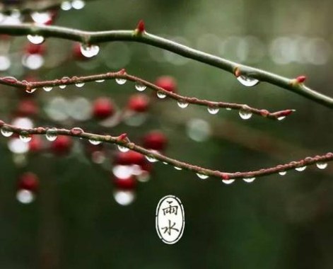 二十四节气雨水古诗词摘抄