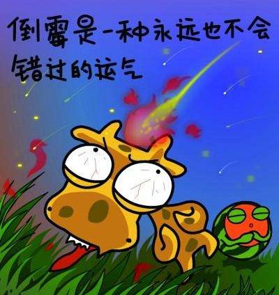 关于倒霉的说说句子