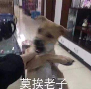 心烦意乱心情说说